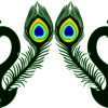 Mor or Peacock (Pack of 31 CDR files for CNC & Laser cutting)
