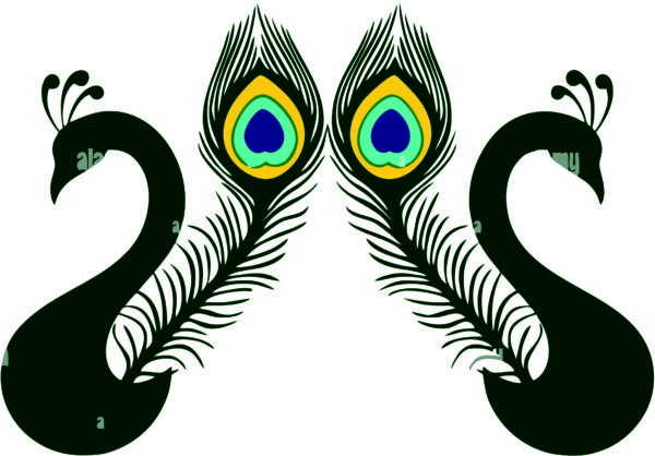 Mor or Peacock (Pack of 31 CDR files for CNC & Laser cutting)