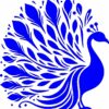 Mor or Peacock (Pack of 31 CDR files for CNC & Laser cutting)