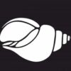 Shankh or Seashell (15 CDR files)
