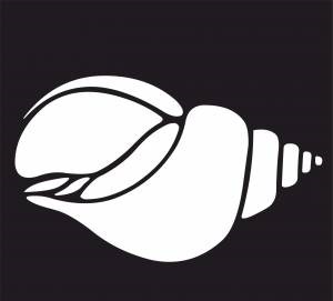 Shankh or Seashell (15 CDR files)
