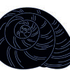 Shankh or Seashell (15 CDR files)