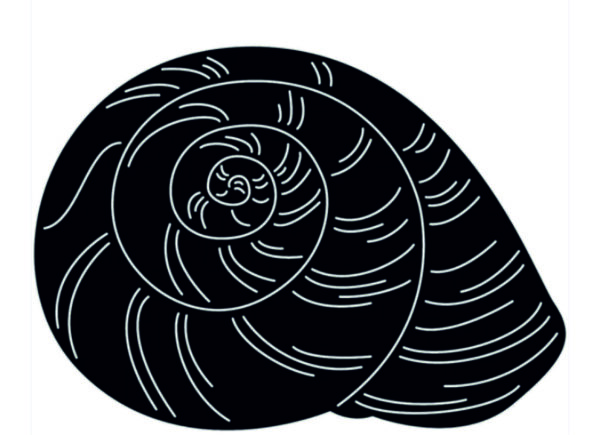 Shankh or Seashell (15 CDR files)