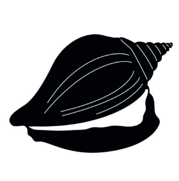 Shankh or Seashell (15 CDR files)