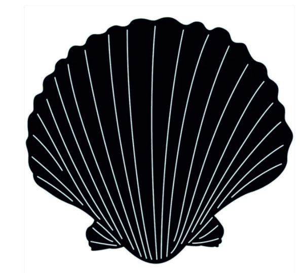 Shankh or Seashell (15 CDR files)