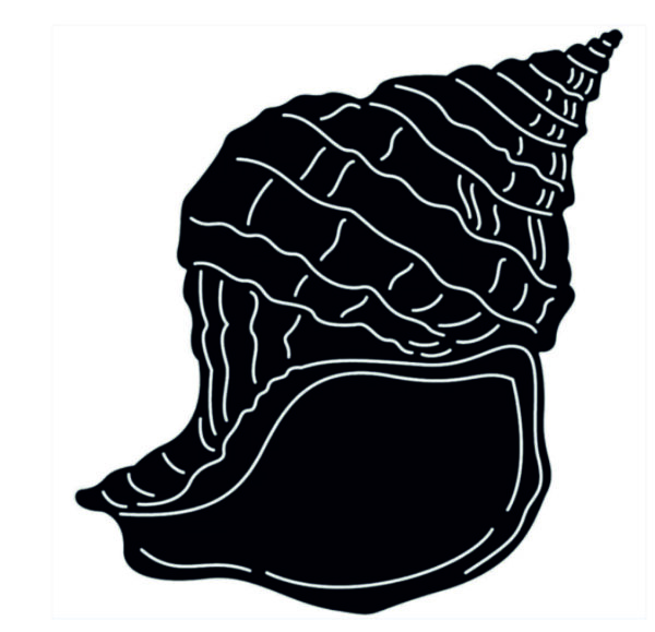 Shankh or Seashell (15 CDR files)