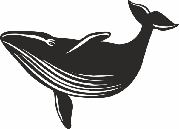Animals (Pack of 135 CDR files)