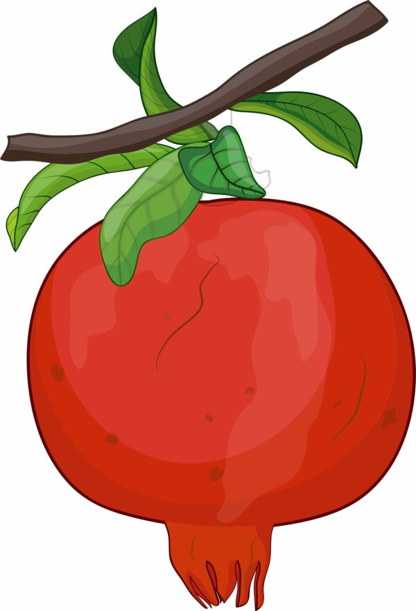 Fruits & Vegetable CDR Files (20 Files)