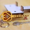 Keyring (20 CDR files)