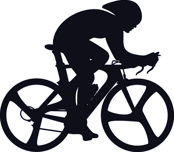 Sports & Fitness (More than 70 CDR files)