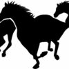 Animals (Pack of 135 CDR files)