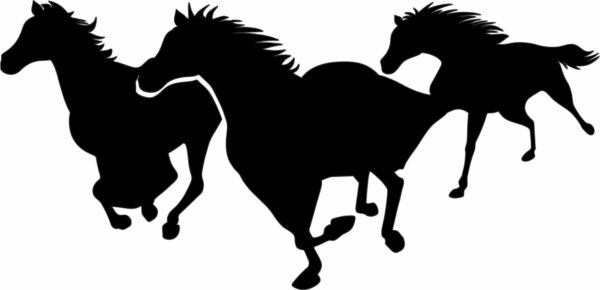 Animals (Pack of 135 CDR files)